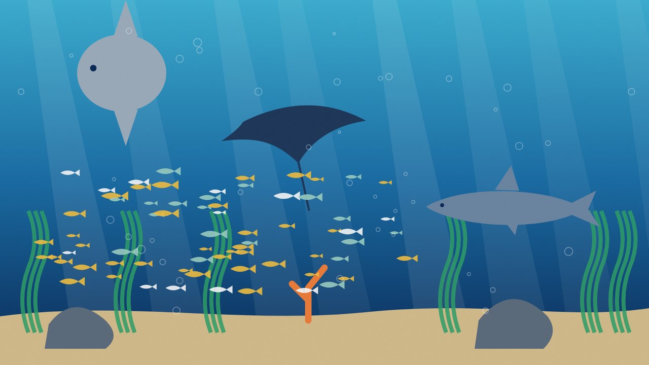 Žuvys ir rajos Lisabonos oceanariume